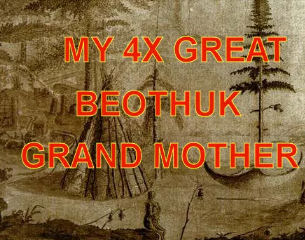 My 4x Great Beothuk Nana