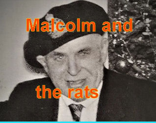MALCOLM AND THE RATS