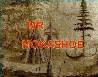 MR MOKASHOE